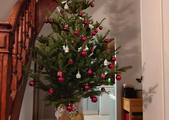 Casa de hóspedes Ancienne Maison De Dans Le Quartier De France *
